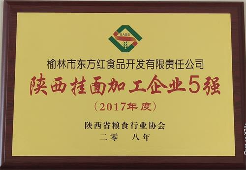 陜西掛面加工企業(yè)5強(qiáng)